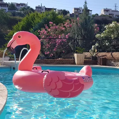 Villa Bodrum Aqouss Soe Villa Bodrum