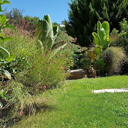 Bodrum Aqouss Soe Villa Villa